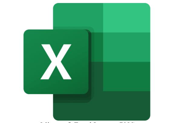 MS Excel logo MS Excel logo